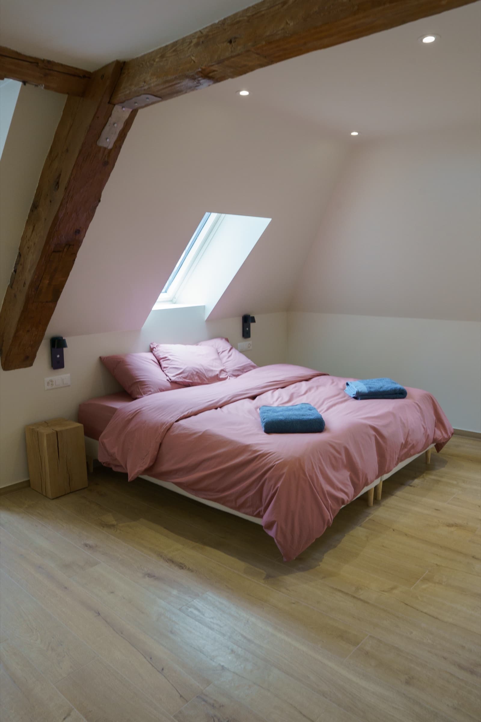 Suite Rose — Velux panoramique sur les toits UNESCO de La Chaux-de-Fonds